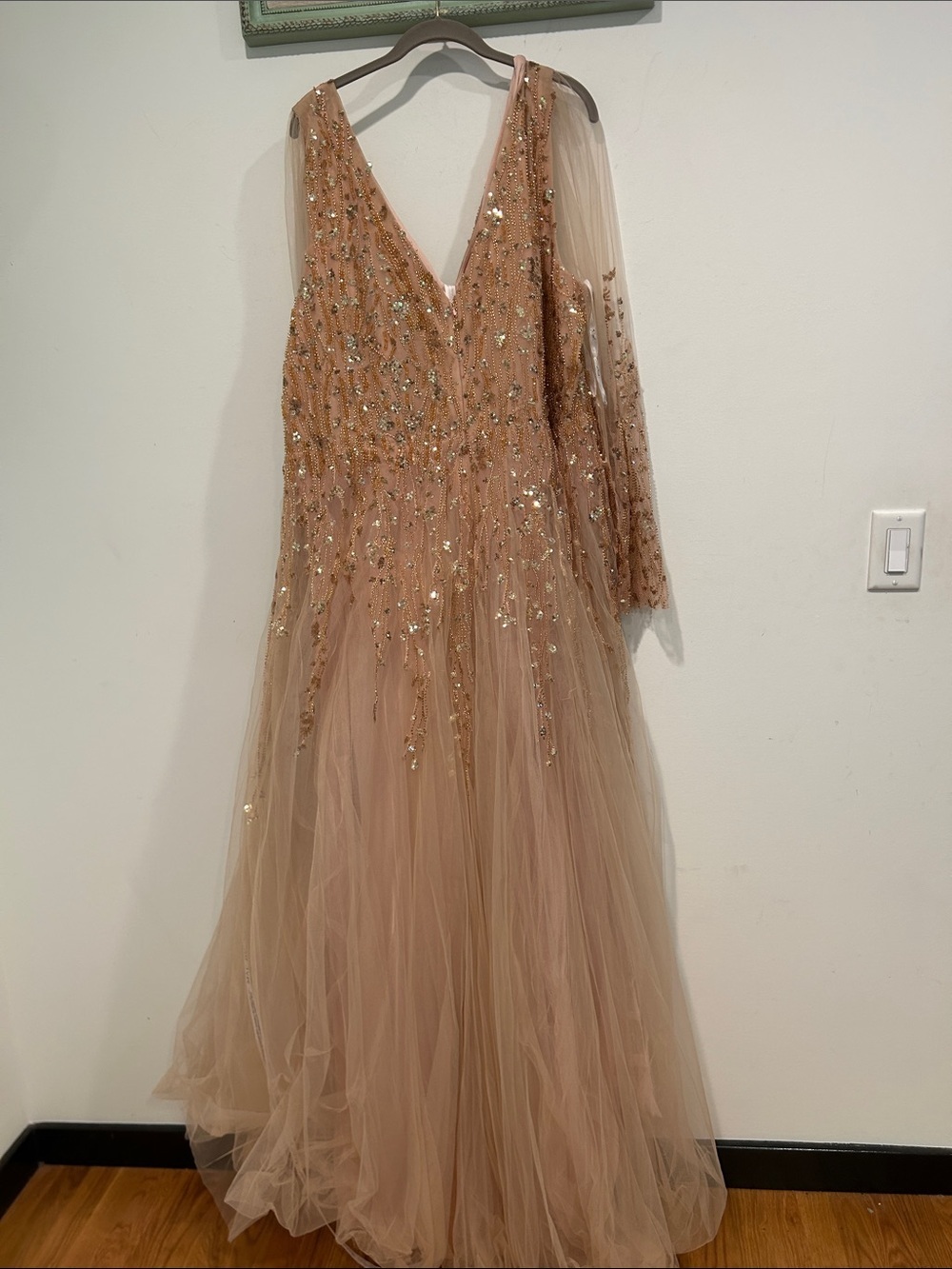 Mac Duggal Blush Champagne Embellished v neck Tulle Maxi Gown plus size 24 new - Picture 9 of 14